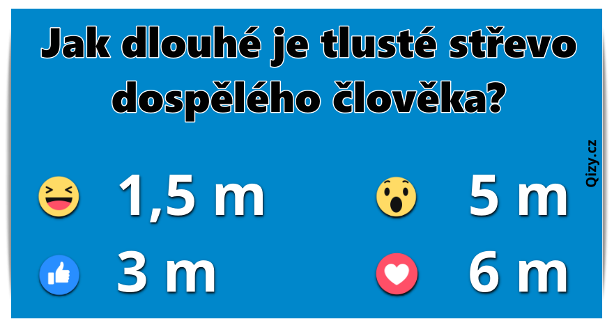Jaké máš vědomosti o lidském těle?