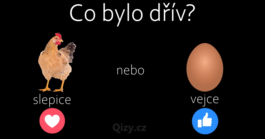 Co Bylo Dřív Slepice Nebo Vejce