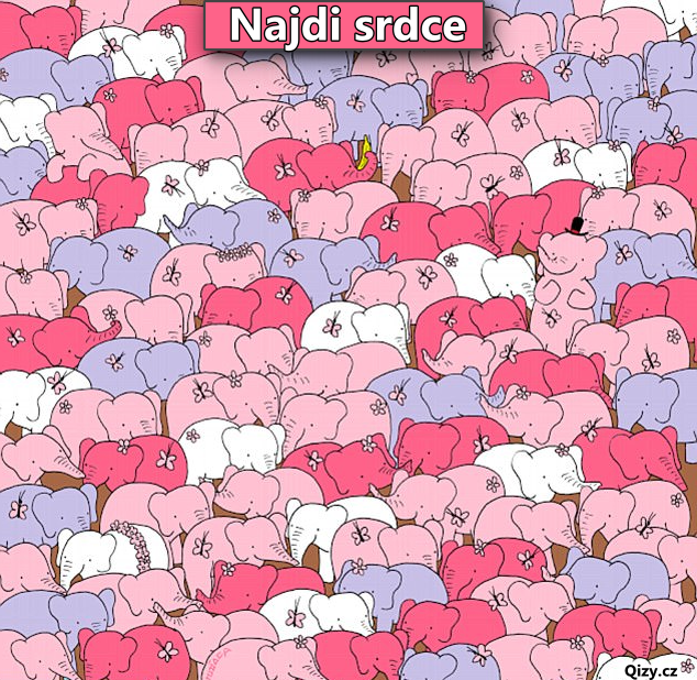 Najdi Srdce