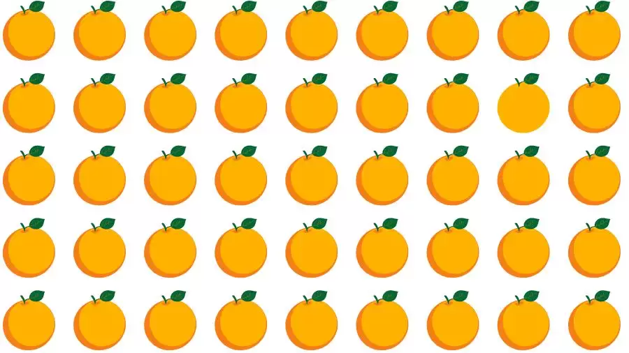 optická iluze najdete odlišný pomeranč