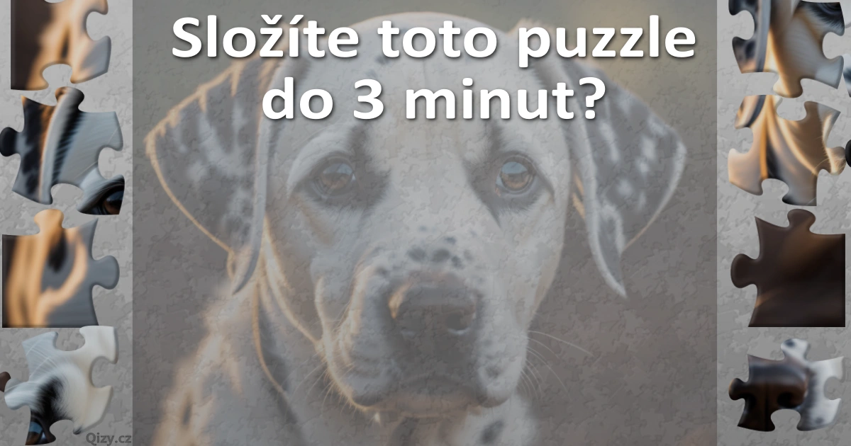 slozite toto puzzle do 3 minut pes