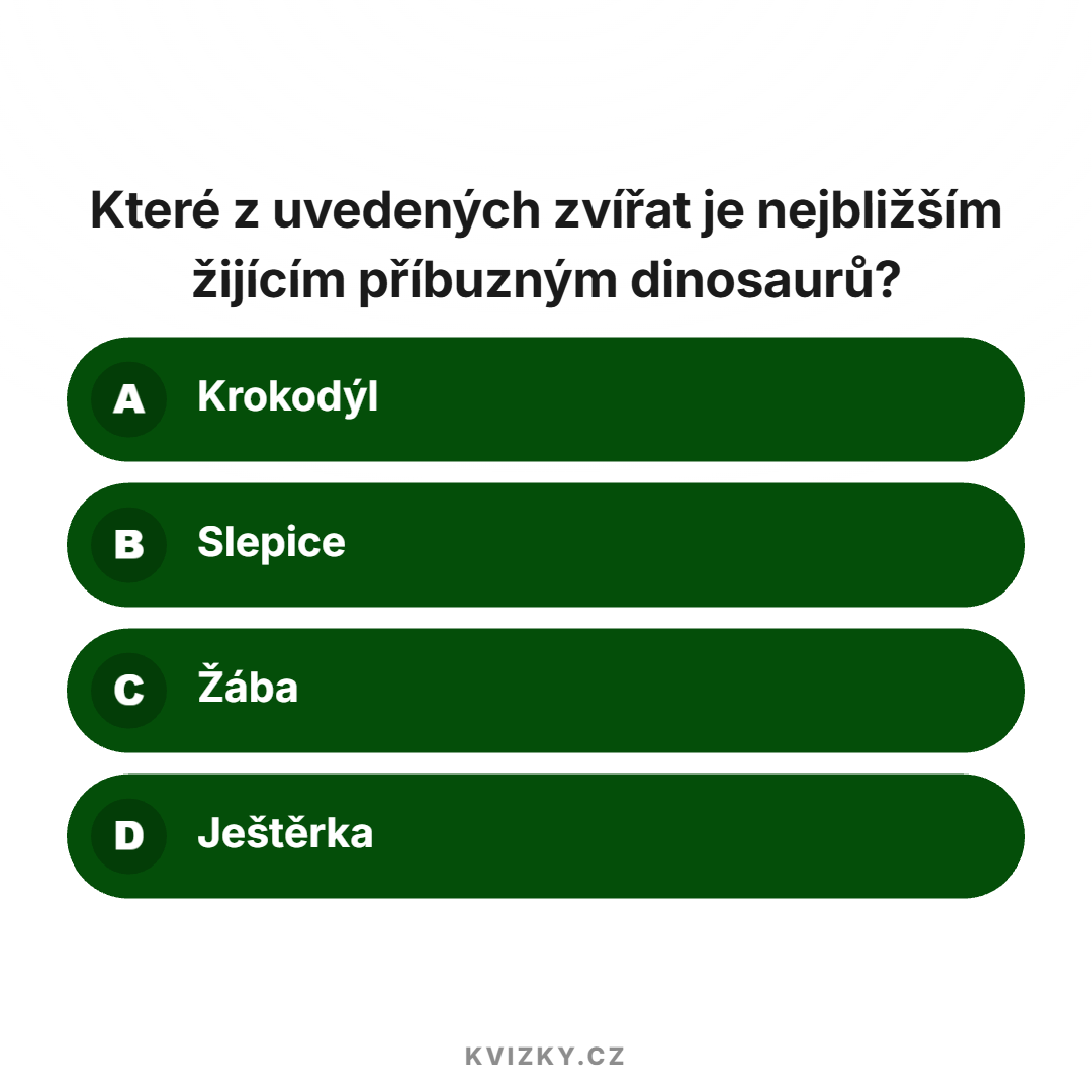 Kvíz o dinosaurech